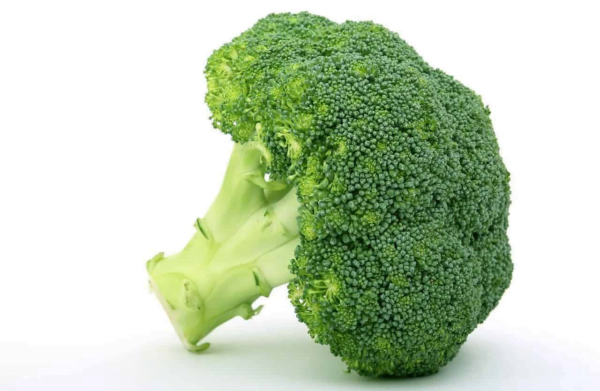 Broccoli Q23-193 F1