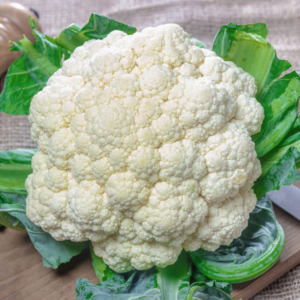 Cauliflower Q23-195 F1