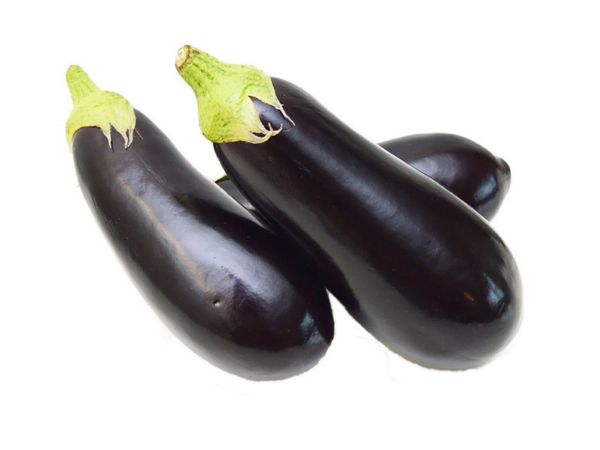 Eggplant Q23-169 F1