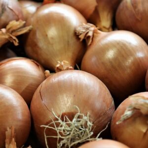 Onion yellow Intermediate